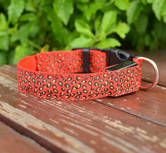 LED Dog Safety Collar