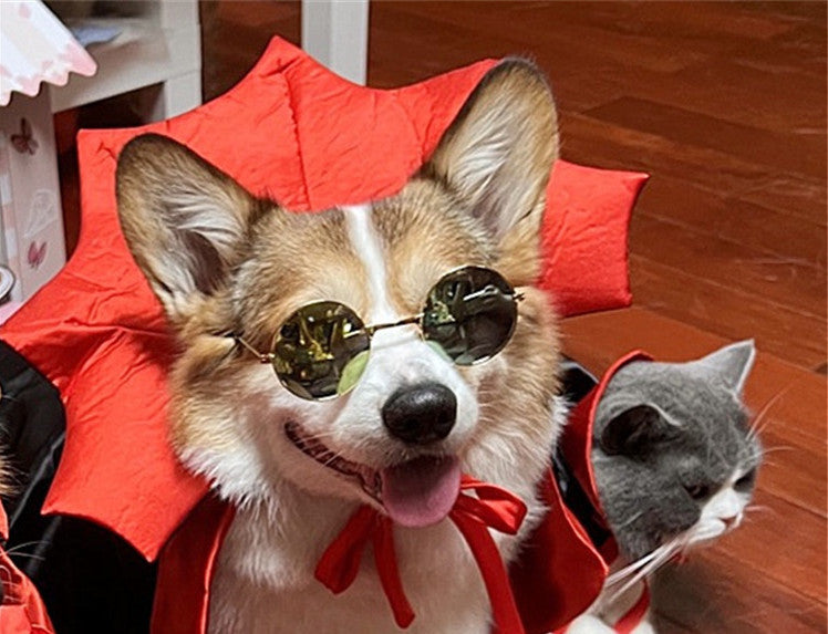 Cute Vampire Cat Cape Costume
