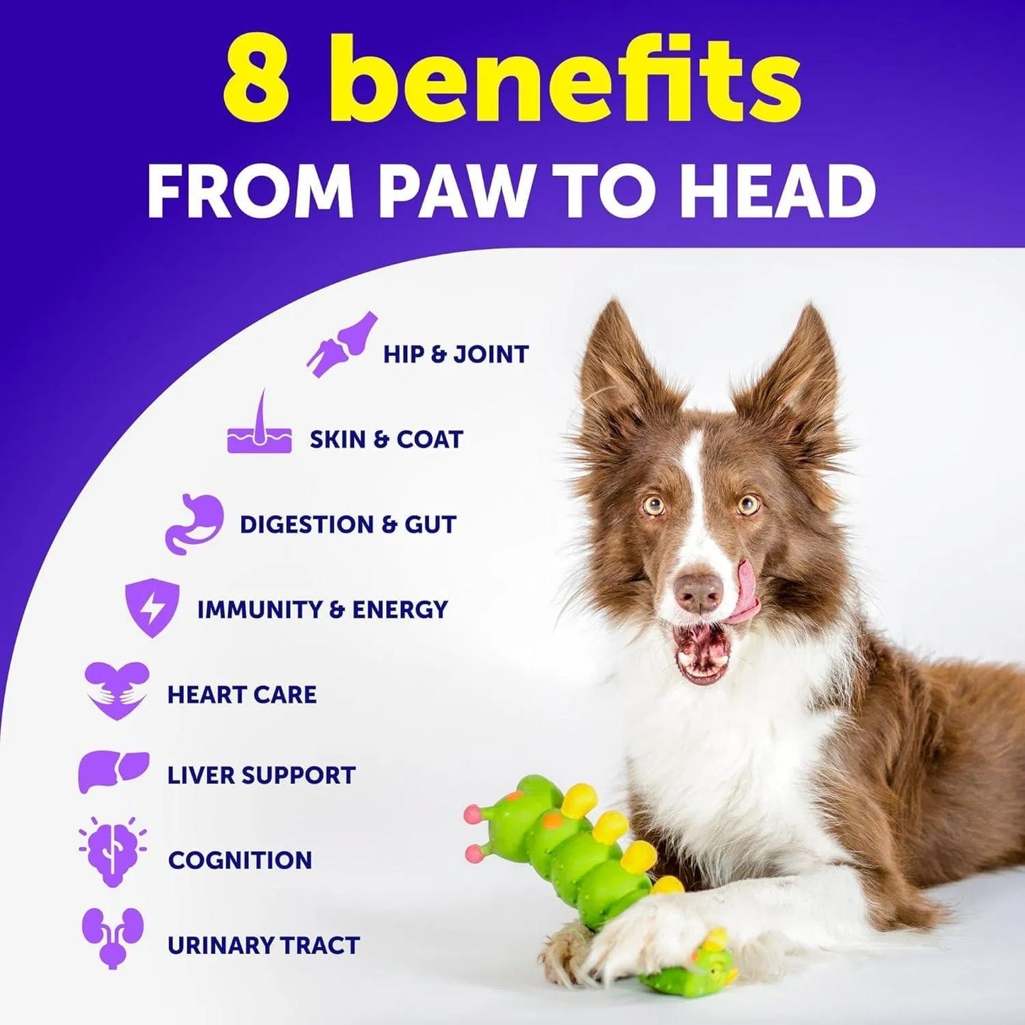 Multivitamin Chews