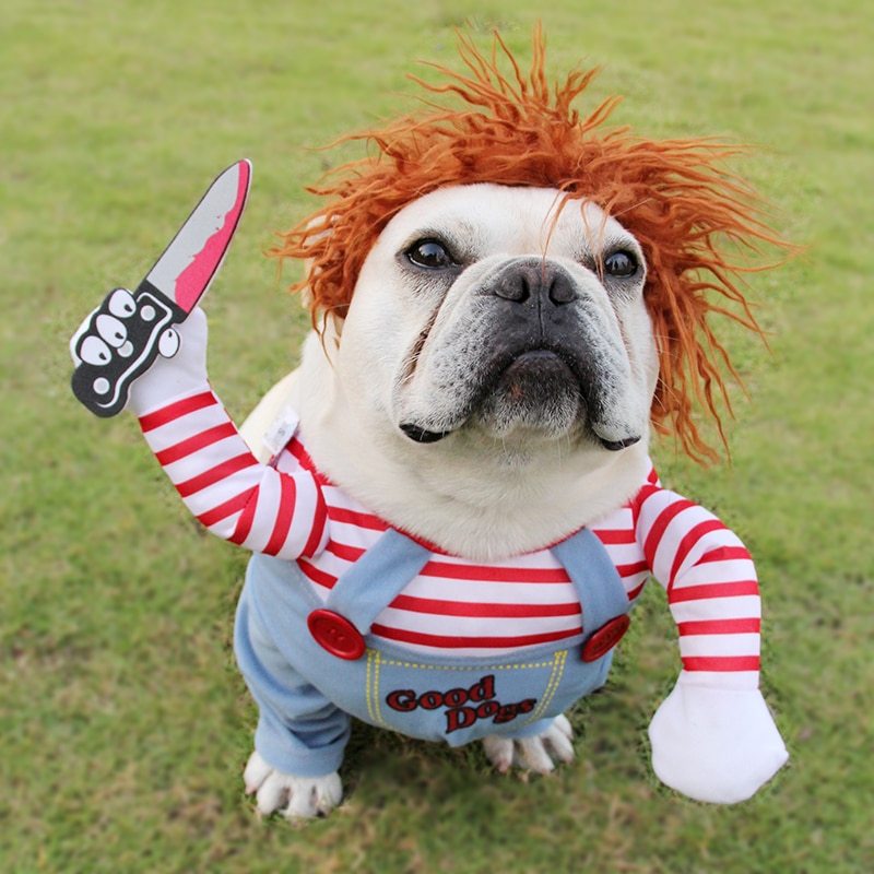 Dog Halloween Outfit