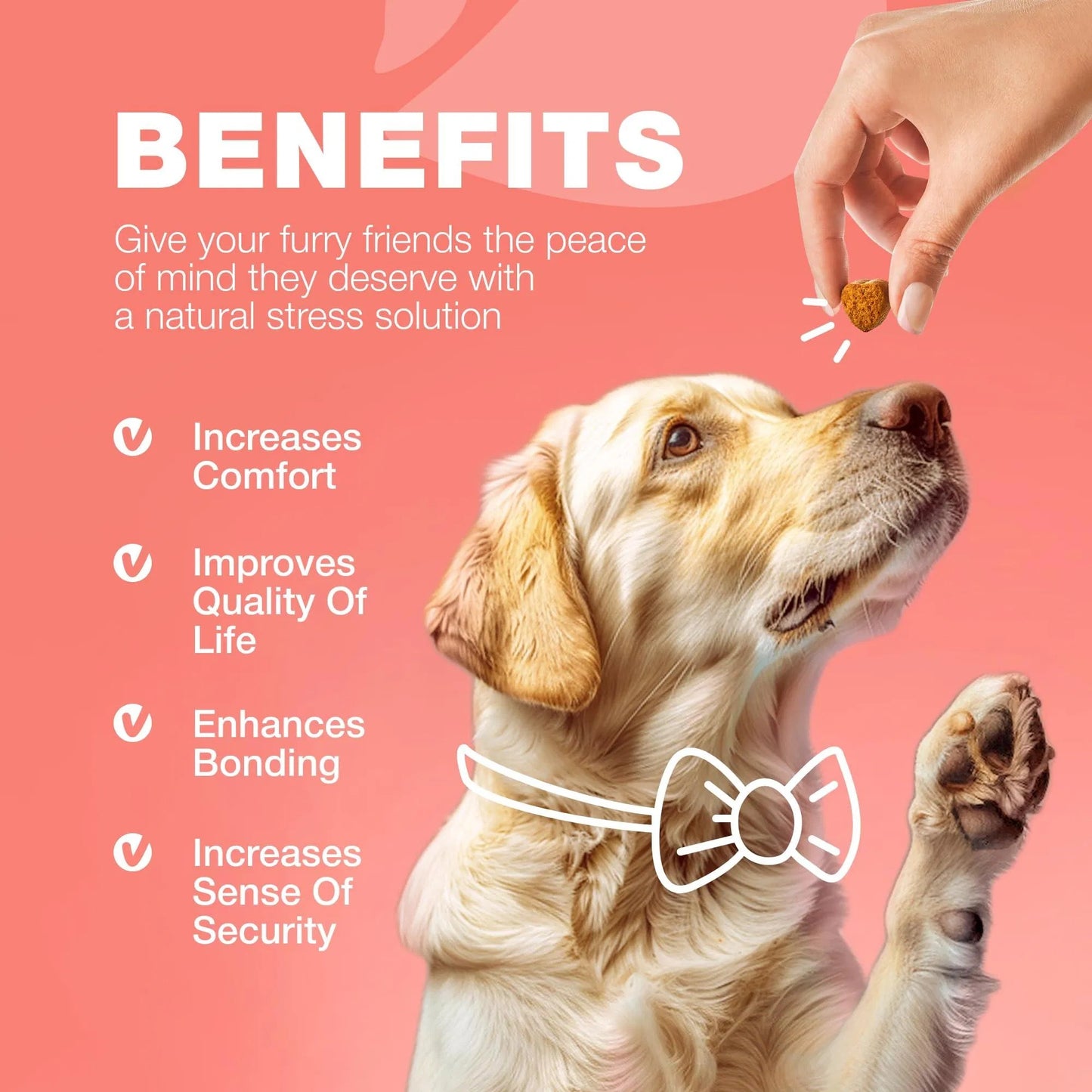 Flea & Tick Defense Chews