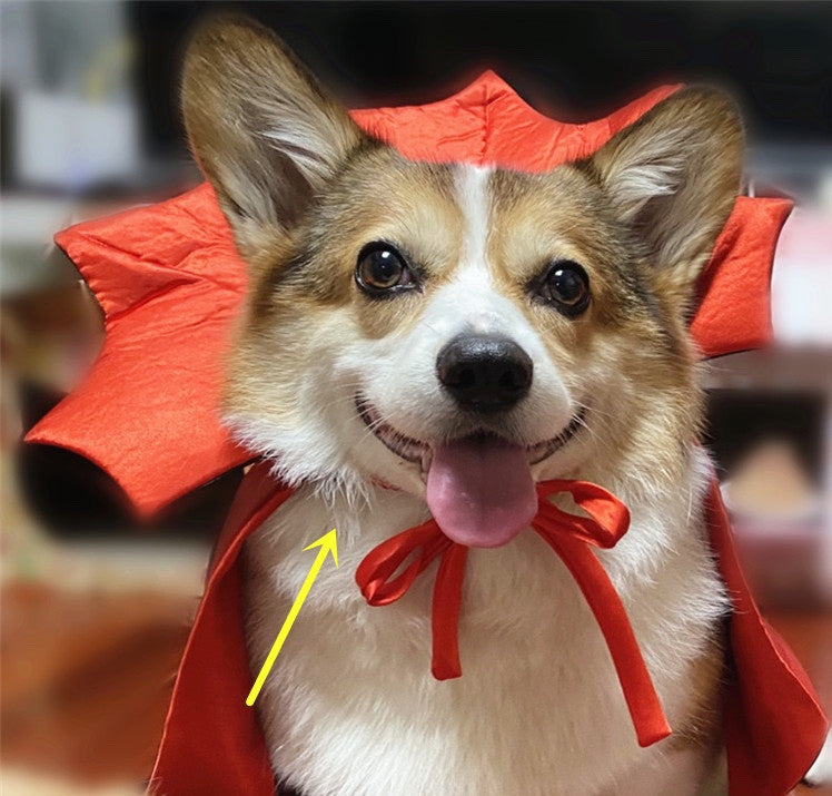 Cute Vampire Cat Cape Costume