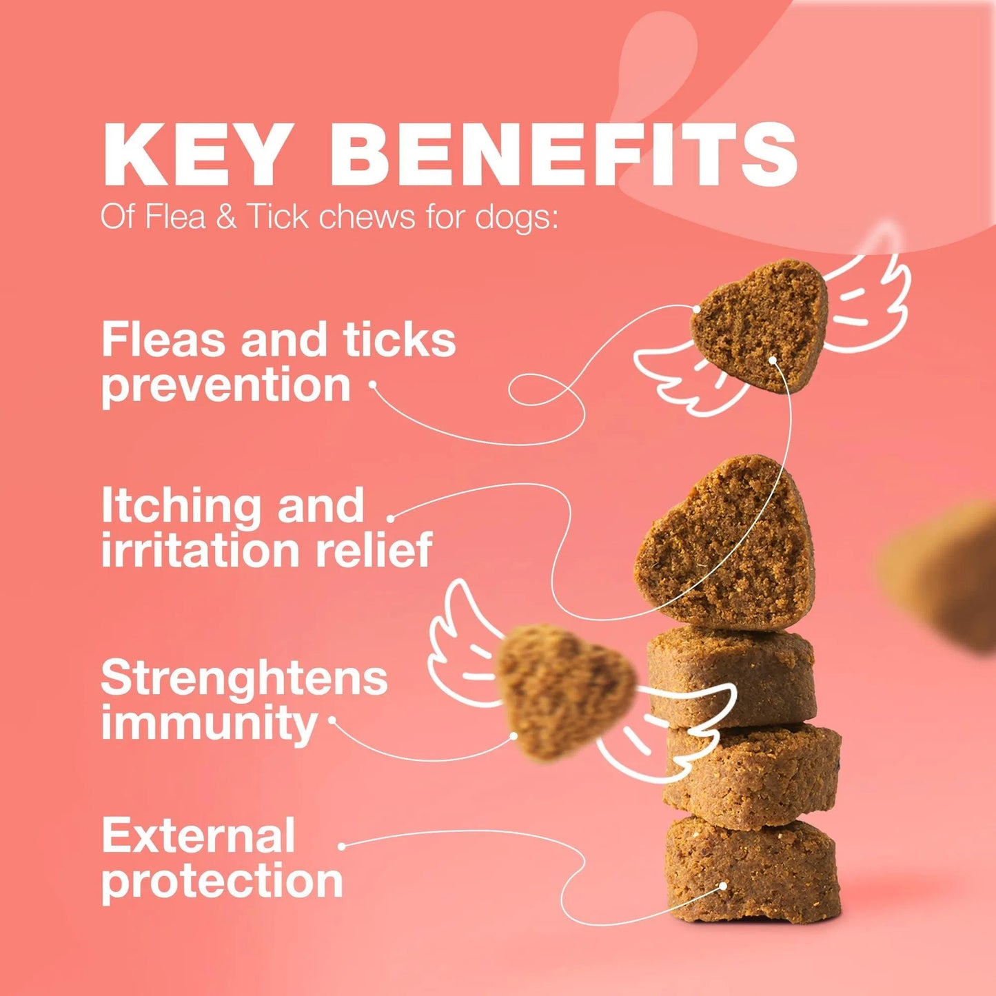 Flea & Tick Defense Chews