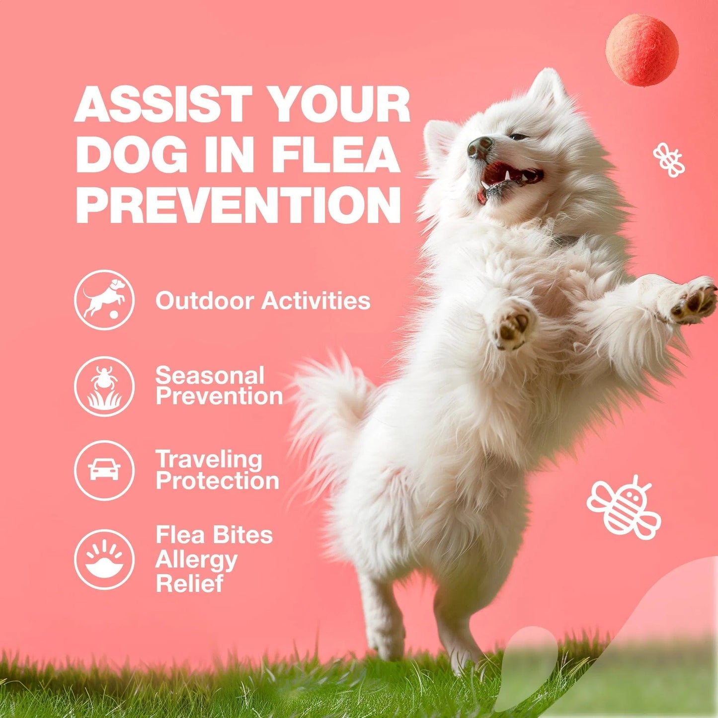 Flea & Tick Defense Chews
