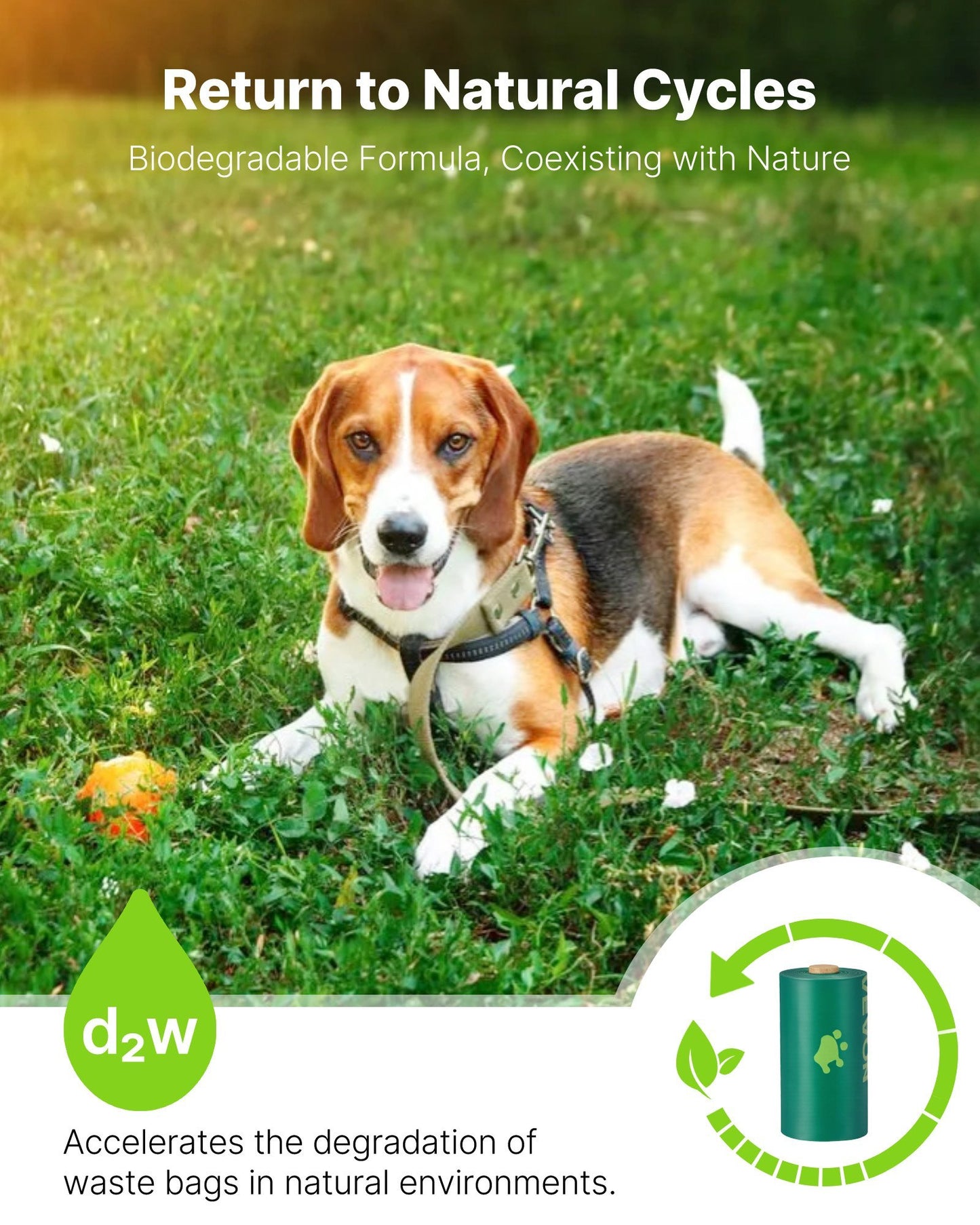 Unscented Dog Poop Bags