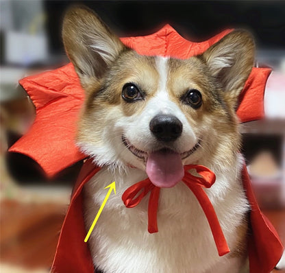 Cute Vampire Cat Cape Costume